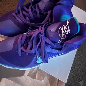 Lebron James sneakers worn 2 times